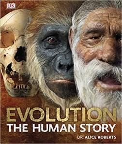 Купить Evolution. The Human Story (hardcover) Элис Робертс