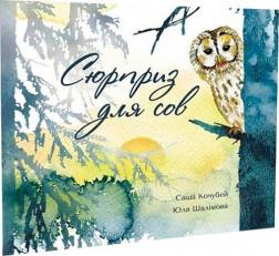 Купити Сюрприз для сов Саша Кочубей